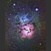 Trifid Nebula - Print