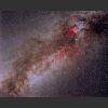 Cygnus - Print